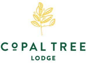 Copal Tree Lodge (formerly Belcampo Belize) logo